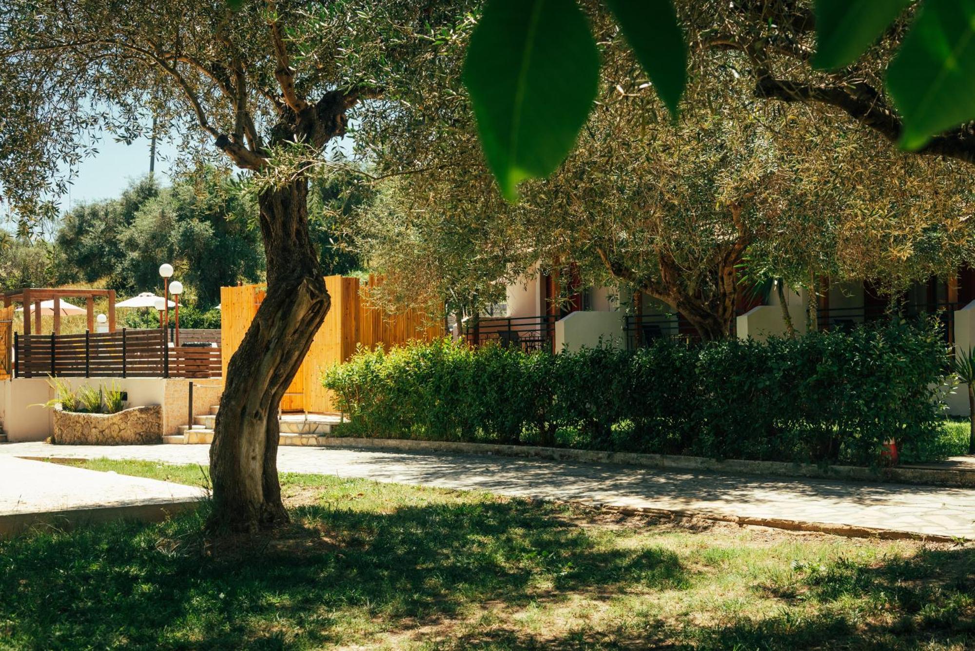 Kalypso Studio Resorts Kávos Екстериор снимка